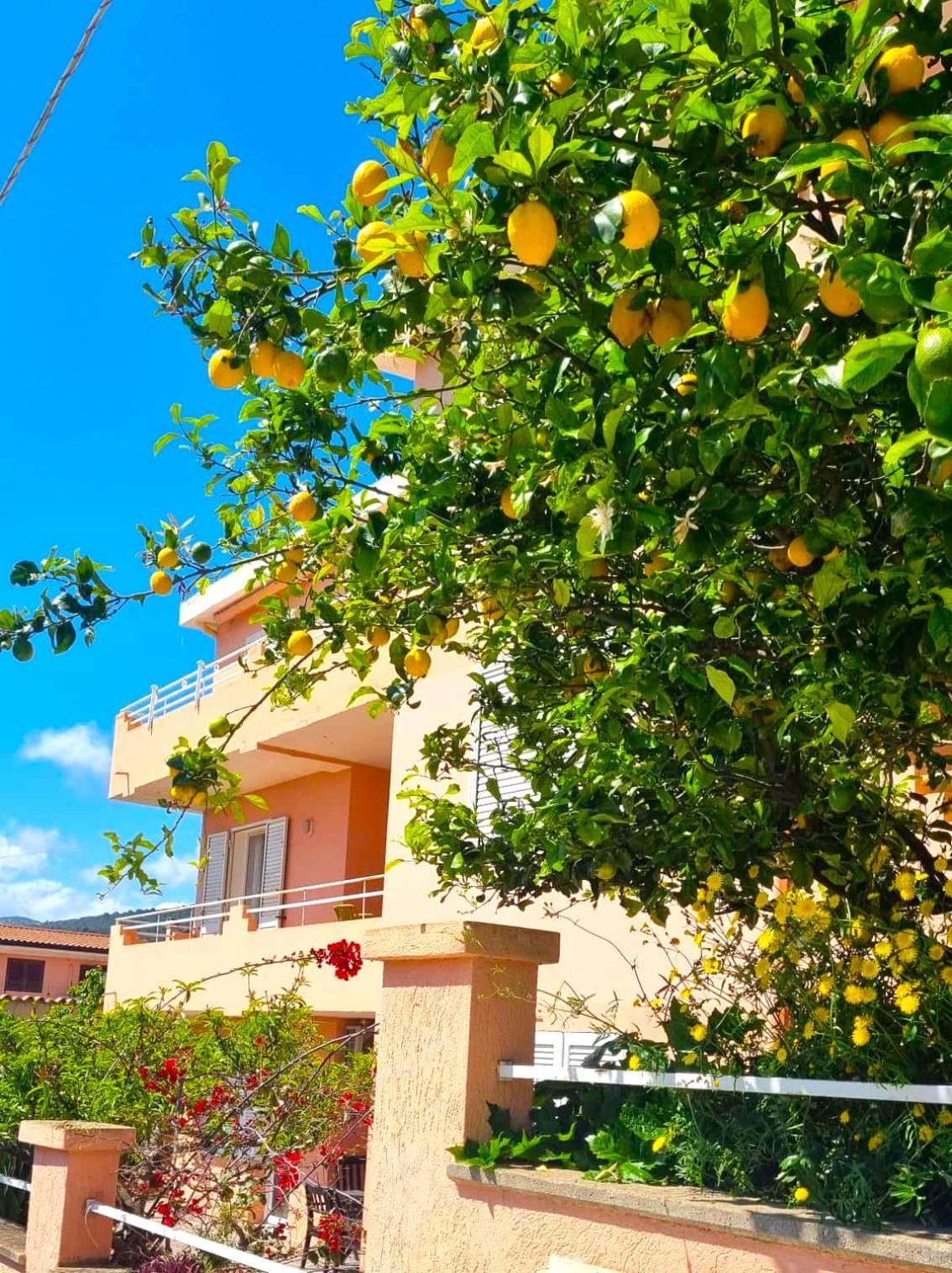Casa Vacanze Mura Кала-Гононе Экстерьер фото